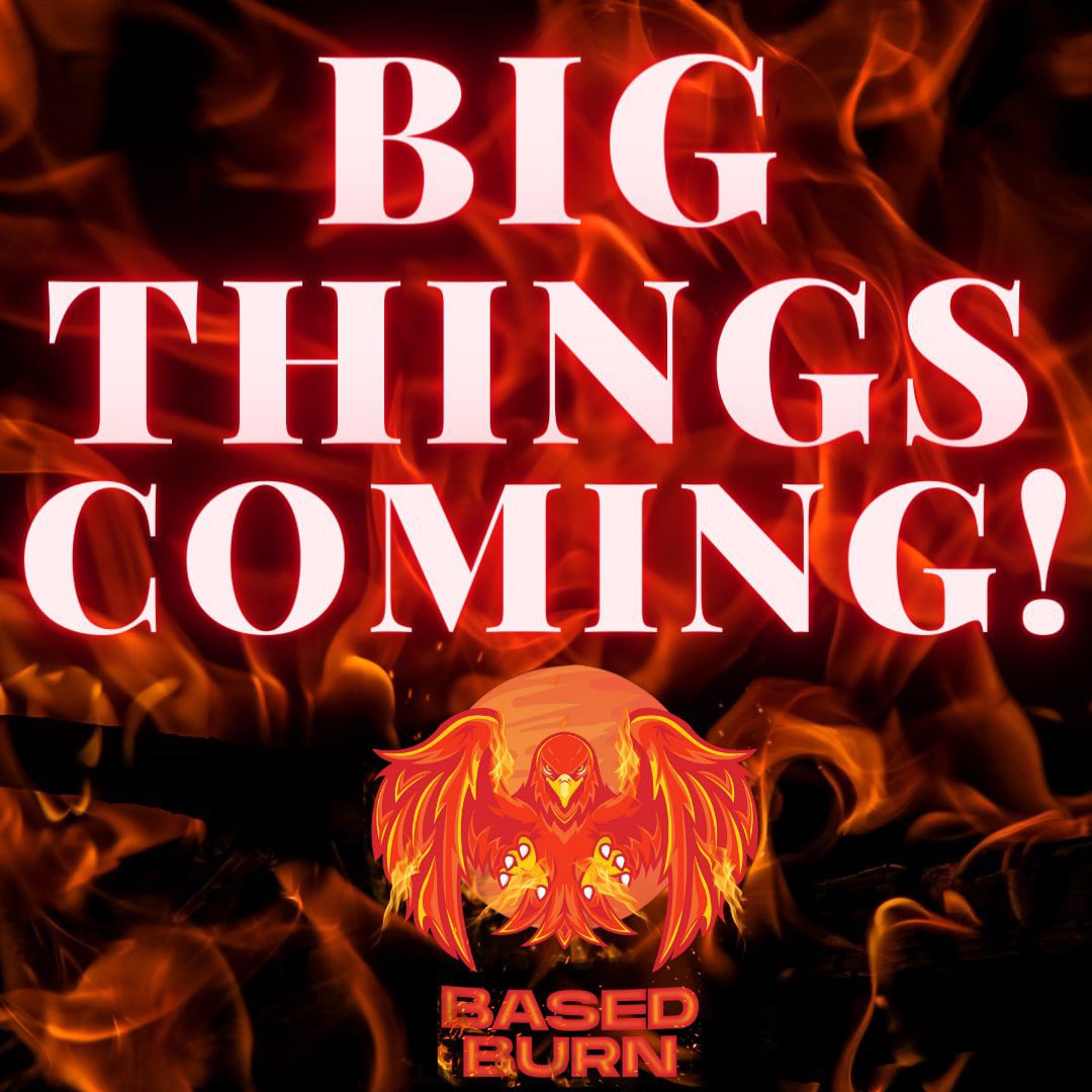 BasedBurnBSC's tweet photo. You don't wanna miss this! 

#BasedBurn
#PresaleInComing https://t.co/mBB68aYjEj
