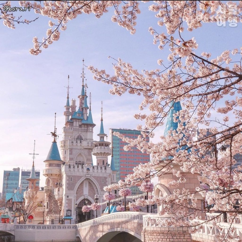 cafesooni's tweet photo. เทศกาล cherry blossom festival ✨🌸
ที่ Seokchon Lake หลังจากงดจัดไป 3 ปีเพราะโควิด ปีนี้กลับมาแล้ววววววว 
ในงานมีทั้ง flea market และ busking ต่างๆ เริ่มตั้งแต่พรุ่งนี้ถึงวันที่ 4 เมษา 🥹 
รูปจาก IG : seoultravel ค่ะ 
#รีวิวเกาหลี https://t.co/TF9eLieFU1