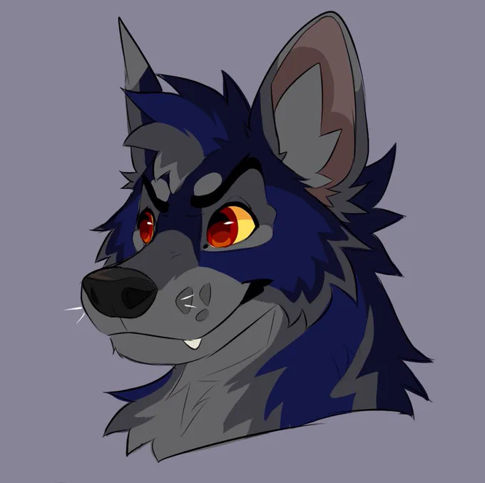 Blue bork 👀 