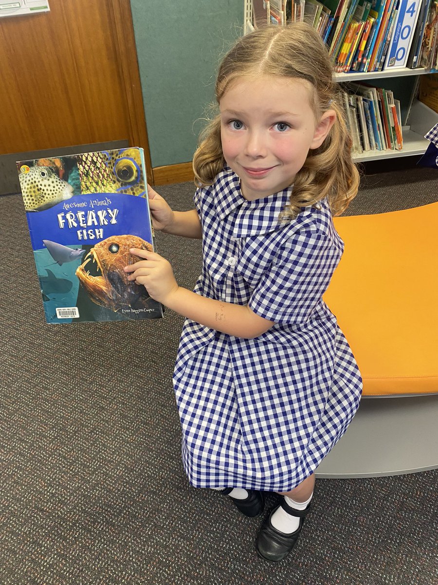 KA absolutely love going to the library to not only borrow books, but also use the space to read! ✨✨✨ <a href="/MissSohailaa/">Sohaila</a>