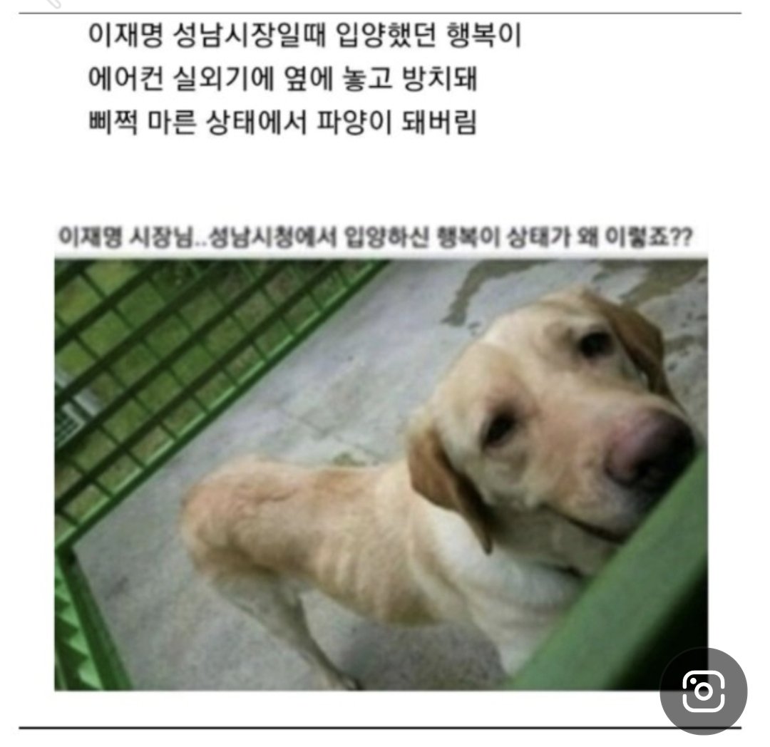 chase_ex_convic's tweet photo. @paarkjihy_20 비대위원장 한자리 축하 축하~~ ㅋ
행복이는 어디서 어떻게 지내는지는 알고? https://t.co/Ia2Afe7Zbs