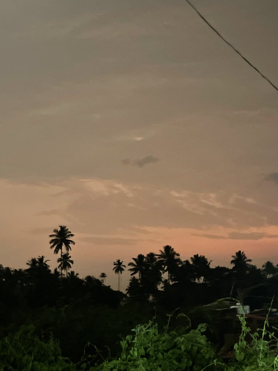 rodionisone's tweet photo. Sunsets makes me feel alive https://t.co/5QvPEWujqm