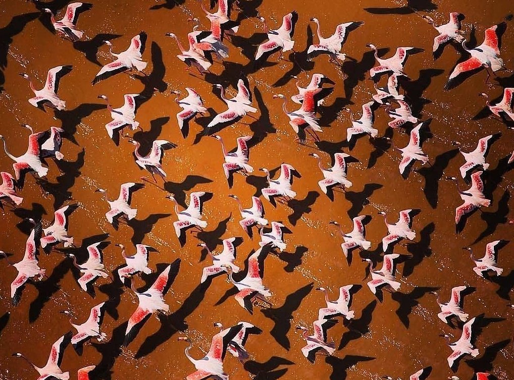 kenyapics's tweet photo. A special reminder this beautiful morning is that ,Turkana is one of the 10 best natural wonders of Kenya 🇰🇪❤
Can't disagree with mother nature ❤

#turkana https://t.co/ukY9hv5sJK
