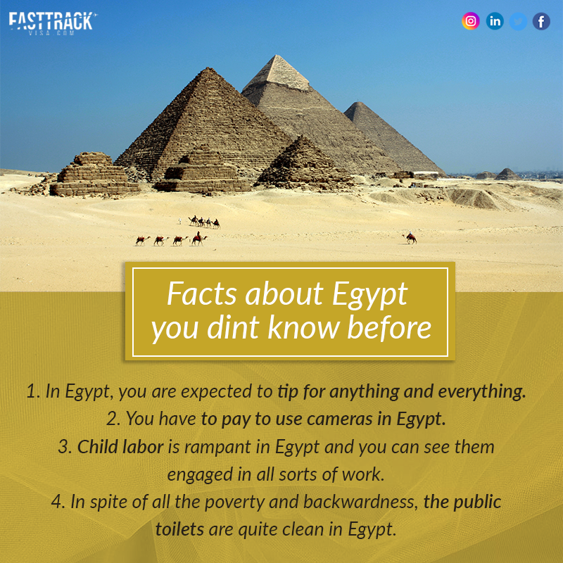 FastrackVisa's tweet photo. Did you know??
#didyouknow #egypt #facts #explore #fasttrackvisa #gofasttrack https://t.co/EePCnra8gQ