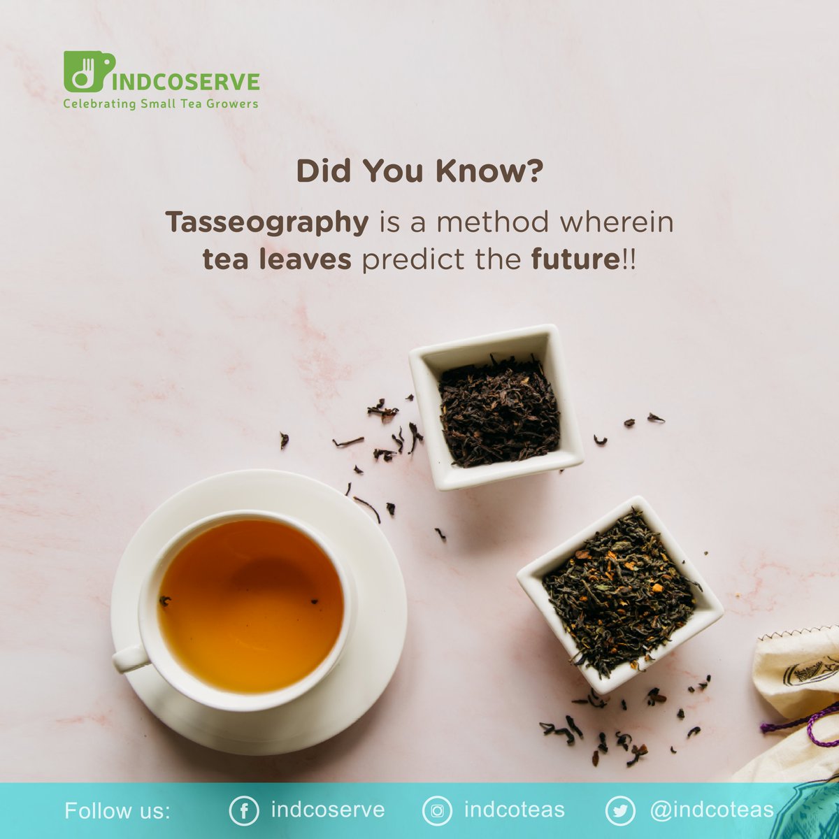Yes! It's true! Tasseography is the art of predicting the future using the patterns of the tea leaves. Each pattern formed by the tea leaves holds an interpretation of the future!

#teafact #tasseography #indcoserve