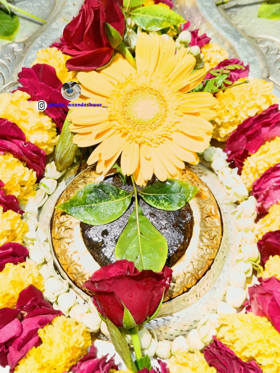 babaanandeshwa's tweet photo. आज के मंगला आरती के पूर्व बाबा के दर्शन 🙏🏻
प्रातः काल श्रंगार 🙏🔱
Date (24-03-2022)

Jai Baba ki 🙏🏻❤️

हर हर महादेव 🔱

 Use #baba_anandeshwar__

#om #harharmahadev #shiva  #OmNamahShivaya #mahadev #mahakal
#kanpur #instgram https://t.co/4iXf2Z4gdR