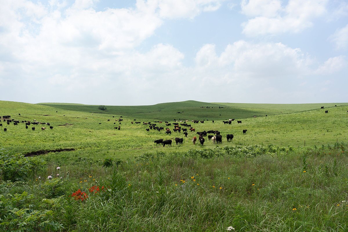 PlacesJournal's tweet image. For more on the beauty of Kansas, read @tim_schuler&apos;s &quot;The Middle of Everywhere&quot; @PlacesJournal: placesjournal.org/article/the-fl… and watch on #SCIArcChannel: channel.sciarc.edu/browse/timothy…