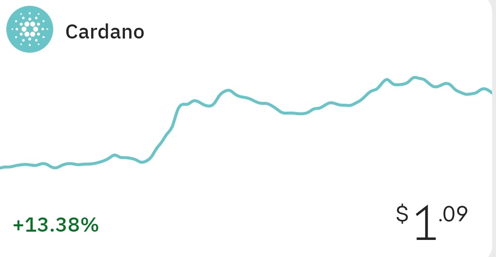 NOOPS Pool tweet media