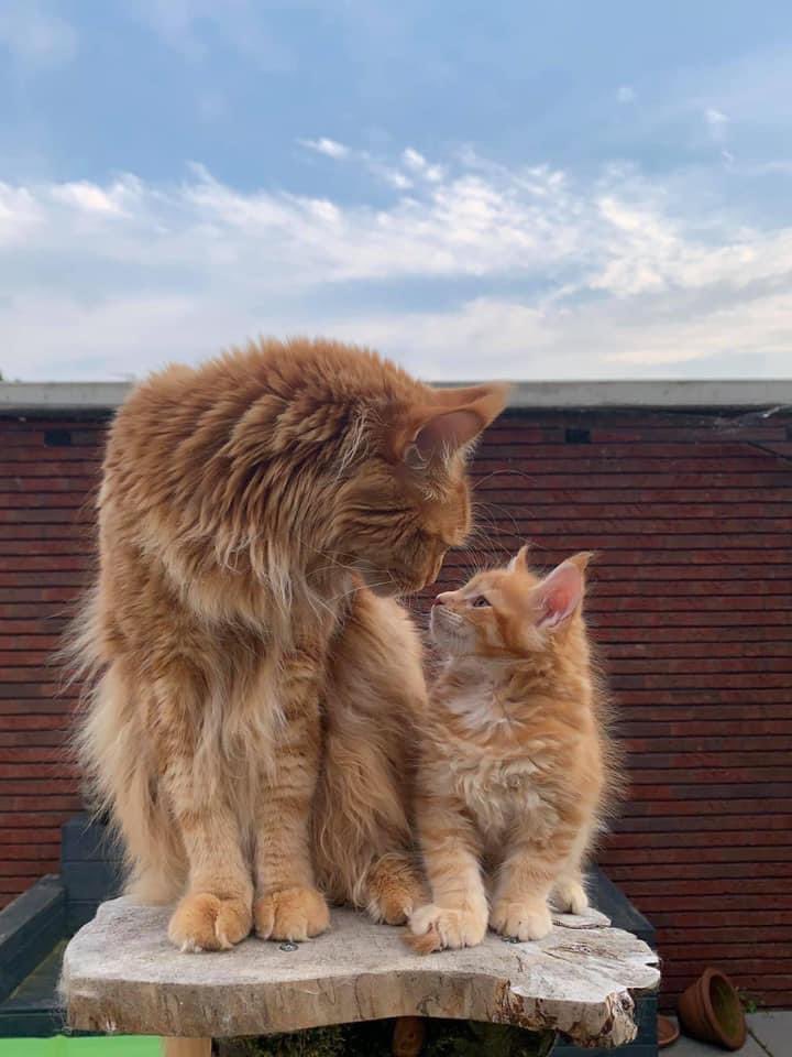 cattreeuk's tweet photo. Father and son ❤️🥰
https://t.co/INiDFtlF1A https://t.co/UlZF8cjHgG