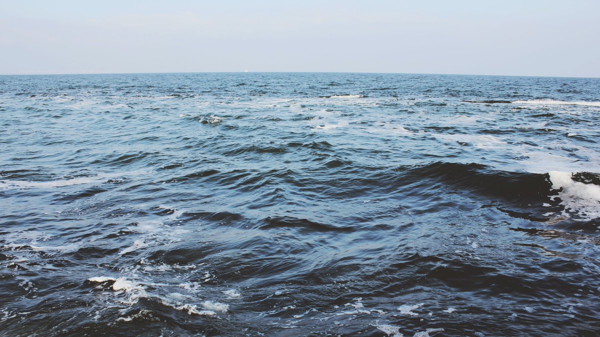 EXCITING NEWS! Seaton with Slingley Parish Council has declared an urgent need for Ocean recovery #Motion4theOcean the FIRST Parish Council to do so! 

We're proud to have drafted the model with  <a href="/EG_Cunningham/">Emily G Cunningham MBE</a> &amp; <a href="/Asterinidae/">Dr Pamela Buchan</a>. 

Which Council will be next? bit.ly/ocean-motion