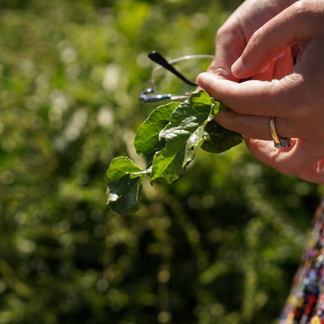 Visit Kent tweet media