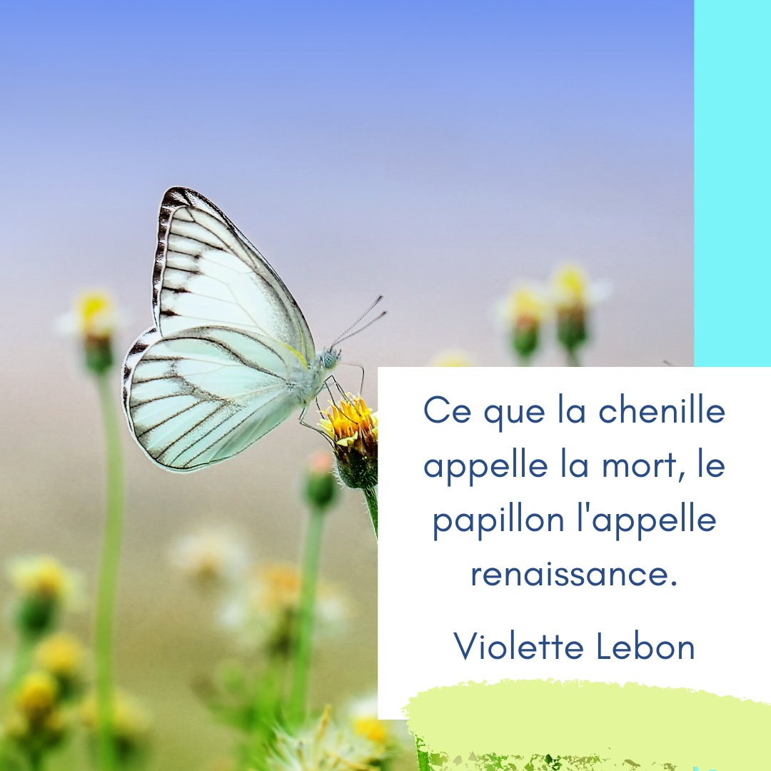 Confiance En Soi Confianceensoi Twitter