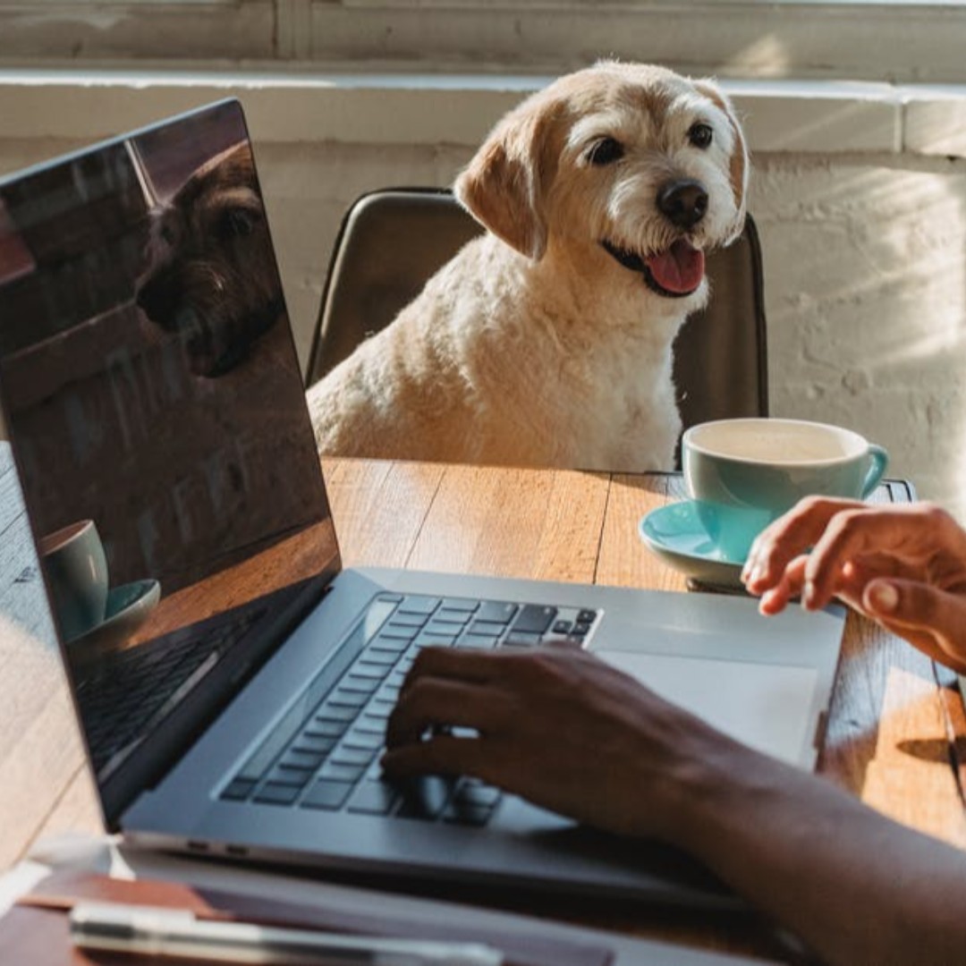 ¿Sabía que puede comprar en nuestra tienda online por parámetro desde la comodidad de su hogar? Encuentre la solución adecuada para sus necesidades: ow.ly/OVAC50Imtn3

#Ecommerce #TiendaOnline #Hach