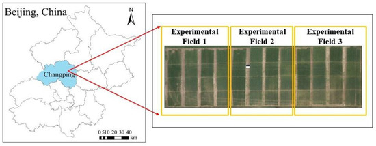 Sensors_MDPI's tweet image. Estimation of the Yield and Plant Height of Winter Wheat Using #UAV-Based Hyperspectral Images
mdpi.com/1424-8220/20/4…
#EstimationModel