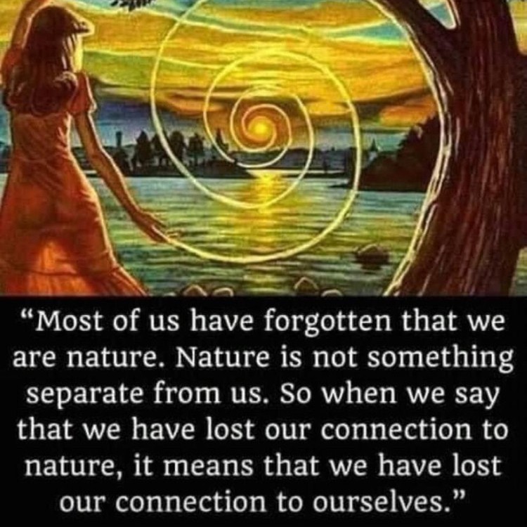 NakulaDas3's tweet photo. Modern society wants you living online 24/7 which disconnects you from the real world. 

For men who wish to discover themselves in a deep and profound way, feel fullfilled and re-ignite their masculinity, spending time in nature is essential

#MenOfValue #MensCoach #HighValueMen https://t.co/BvXJca9vAb