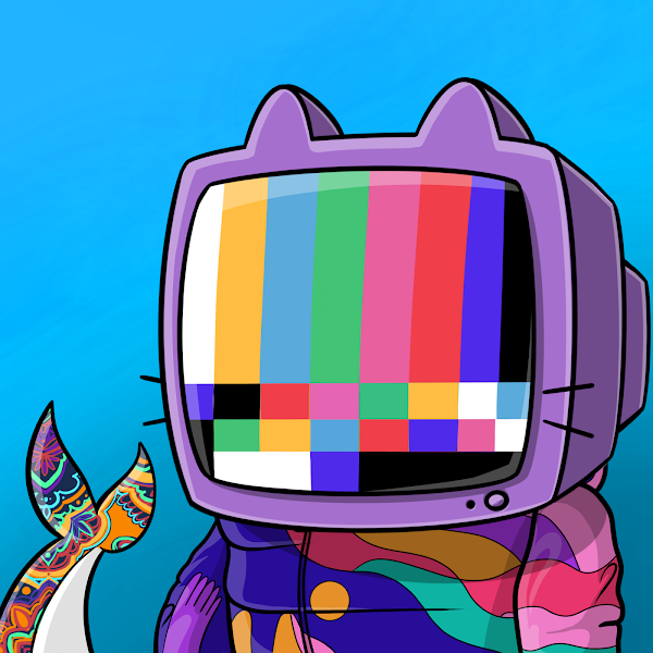 CryptoWhales 🐋 ❁ tweet media