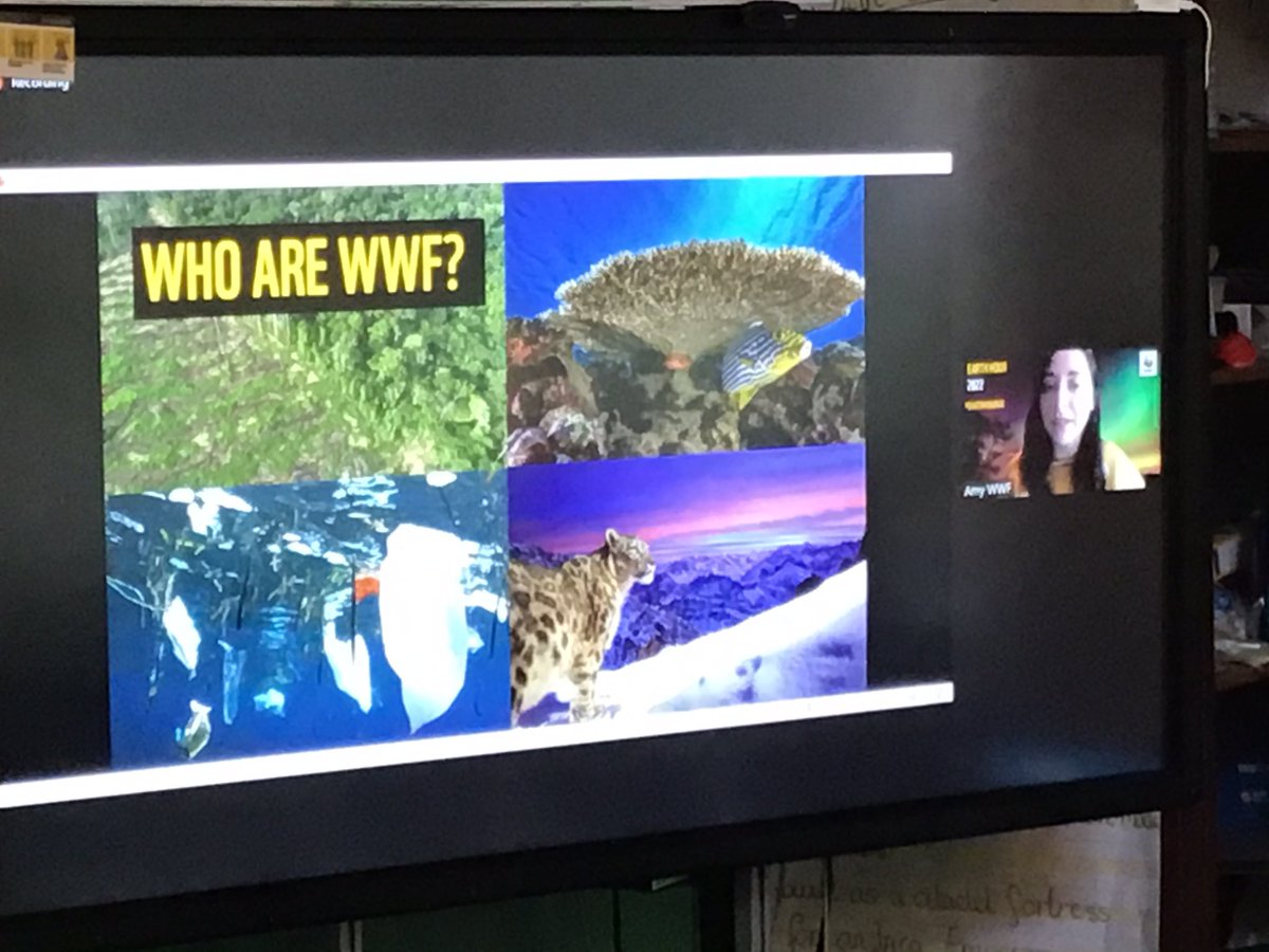 BriarHillSch's tweet photo. #Year3 #DahlClass and #HorowitzClass tuning into #WWF and learning all about #EarthHour2022 @EcoSchools #ecowarriors making our choices, showing support for the planet #EarthHourSchools https://t.co/QzELJxi9wS