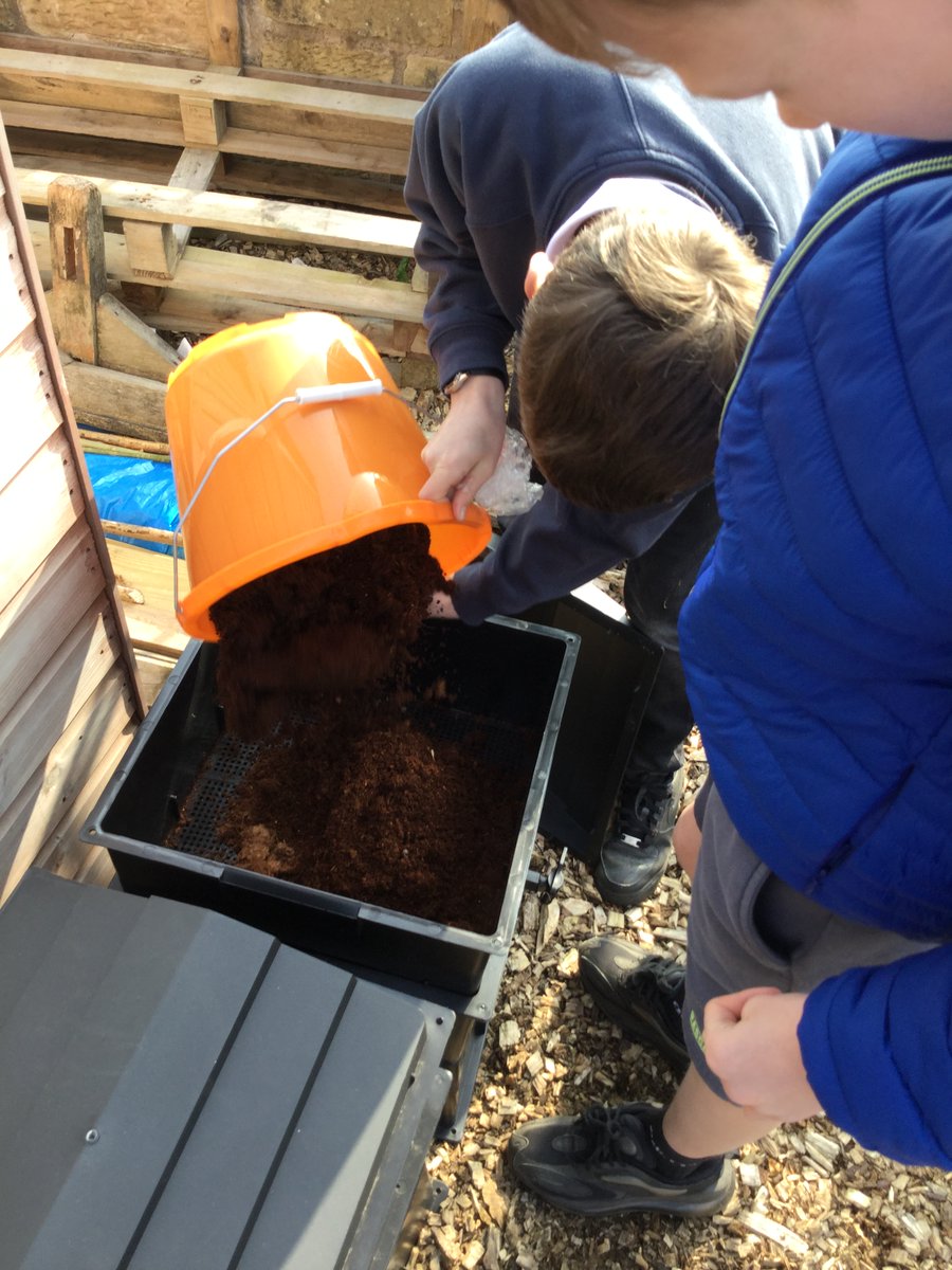 MrAtkinsonSTN's tweet photo. Excited to start producing our own compost and reducing food waste in our school with the introduction of wormeries. With the help of P7 we managed to build and set up two for our @stninplayground Food Growing Project and one for our nursery! #stninoutdoorlearning #sustainability https://t.co/AMfkC8KK34