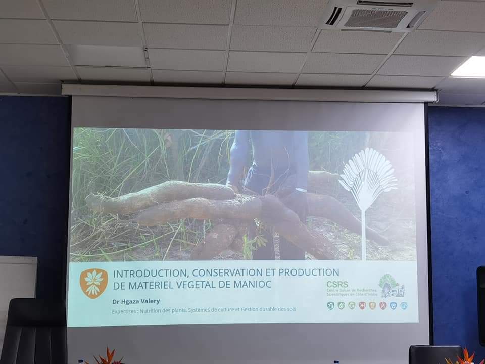 CCCCIUE's tweet photo. Dans le cadre du Projet d'Appui au Développement des Filières Manioc et Maraîchers en Côte d'Ivoire (PRO2M), financé par l'Union européenne, s'est tenu à yamoussoukro, du Mercredi 15 au vendredi 18 mars 2022, l'atelier bilan de la campagne 2021 et le lancement de la campagne 2022 https://t.co/tRwqVeLKvd