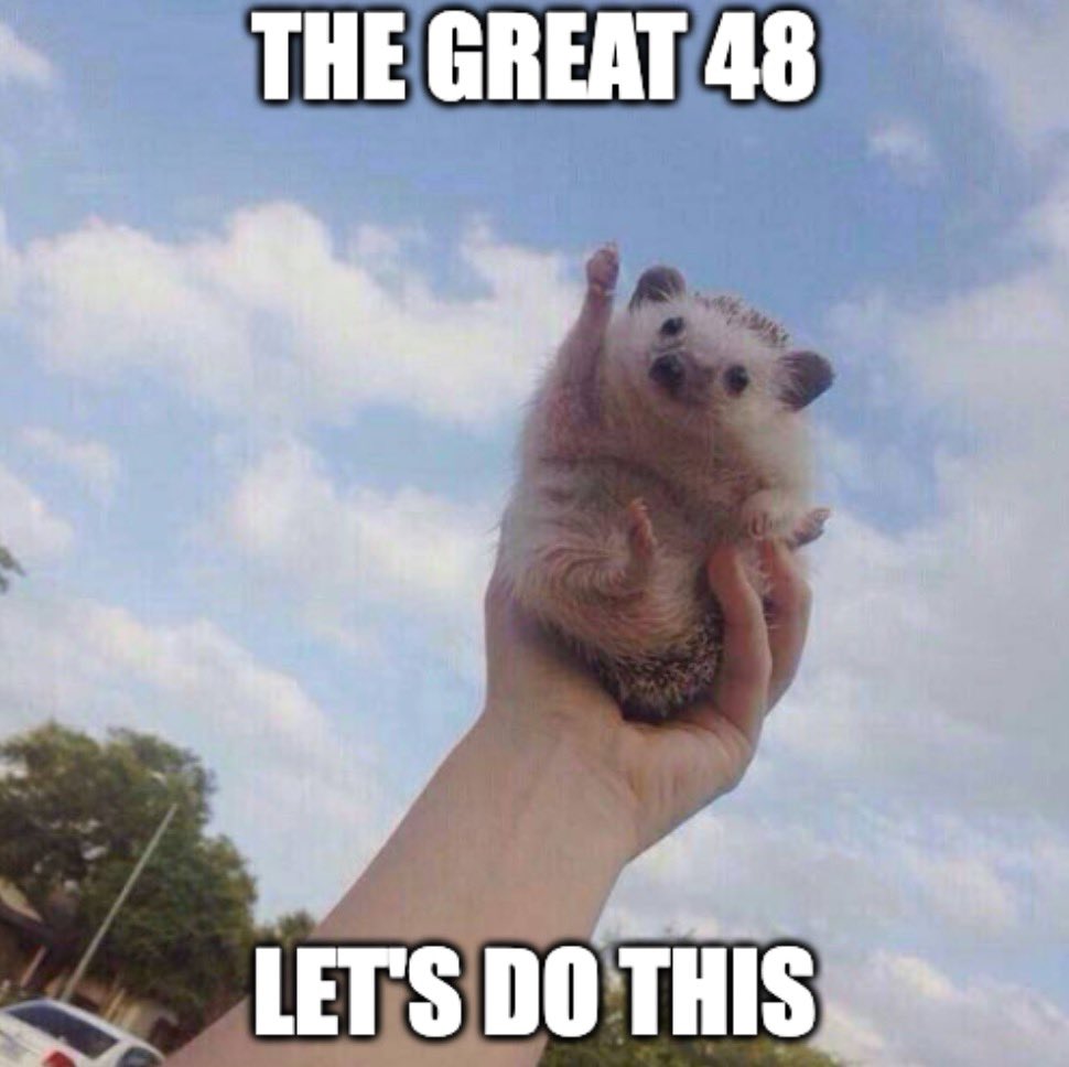 The GREAT 48 tweet media