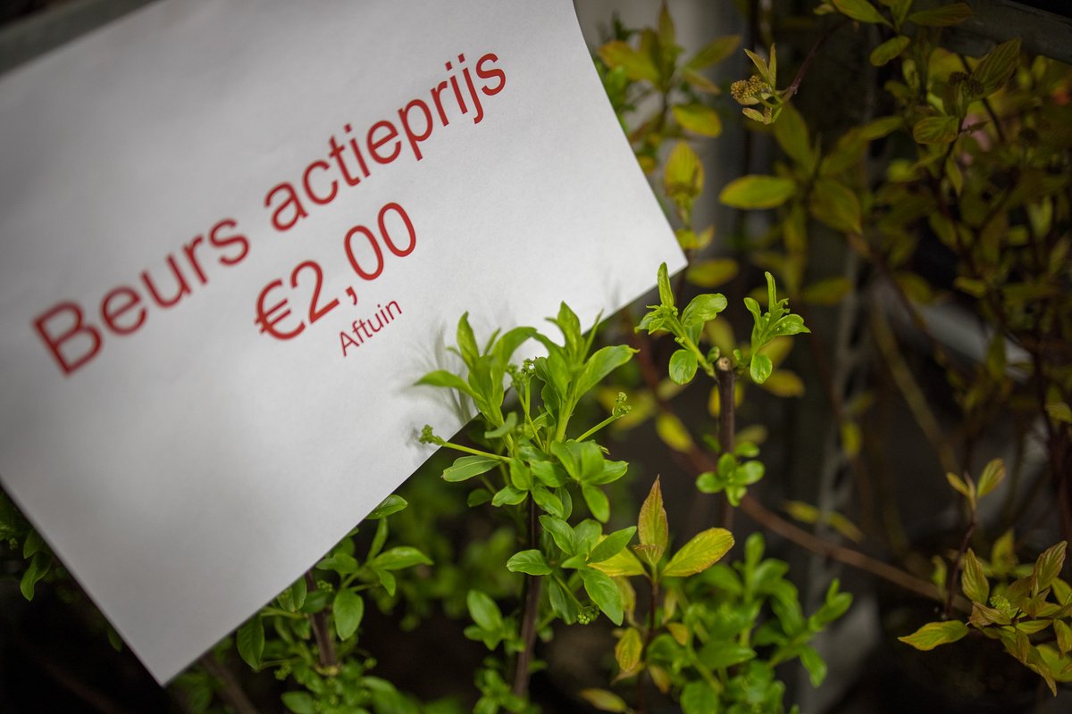 RFHTradeFair's tweet photo. De Spring Fair Aalsmeer op 6 en 7 april is dé beurs van het voorjaar! Aanvoerders presenteren een divers topassortiment tuinplanten en trends van dit jaar. Meld u nu aan als bezoeker.  https://t.co/1s7VRh3p8b https://t.co/critUaBs9U
