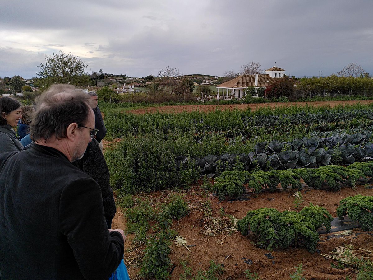 RELACSeu's tweet photo. Yesterday, after a long meeting day, the #RELACS team had the chance to visit the organic vegetable and orange producer @dietaecologica, situated in Los Alcores (Sevilla). #RELACSeu https://t.co/taY14UP1He
