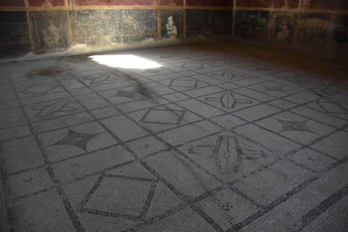 pompeii_sites's tweet photo. The fine frescoes are matched perfectly by the splendid flooring, with elegant mosaics offering an extensive range of black and white decorative motifs. https://t.co/bH2205rQMQ