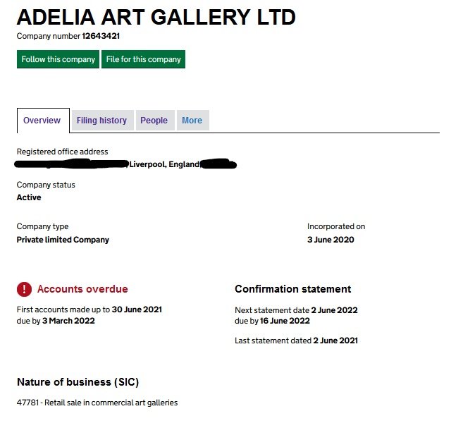 NFTethics's tweet photo. Dear Amir (@mondoir) - a quick reminder to let you know that your company accounts are overdue. Just letting you know in case you don't have an accountant or they were not able to contact you. Always happy to help. https://t.co/g5lCAxKnNi
