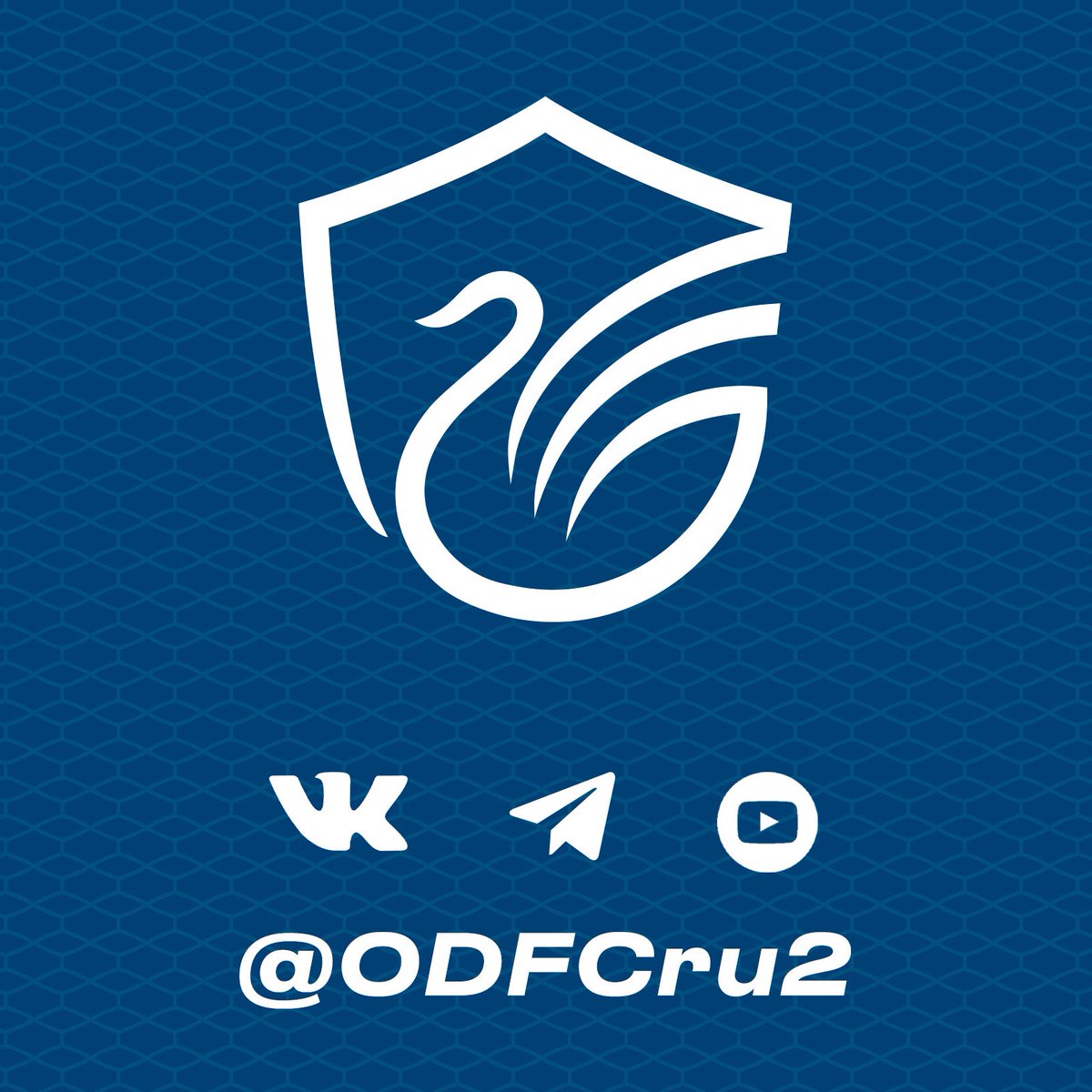 ФК «Олимп-Долгопрудный-2» tweet media