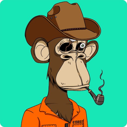 SUPREMOS 🤍🐘 tweet media