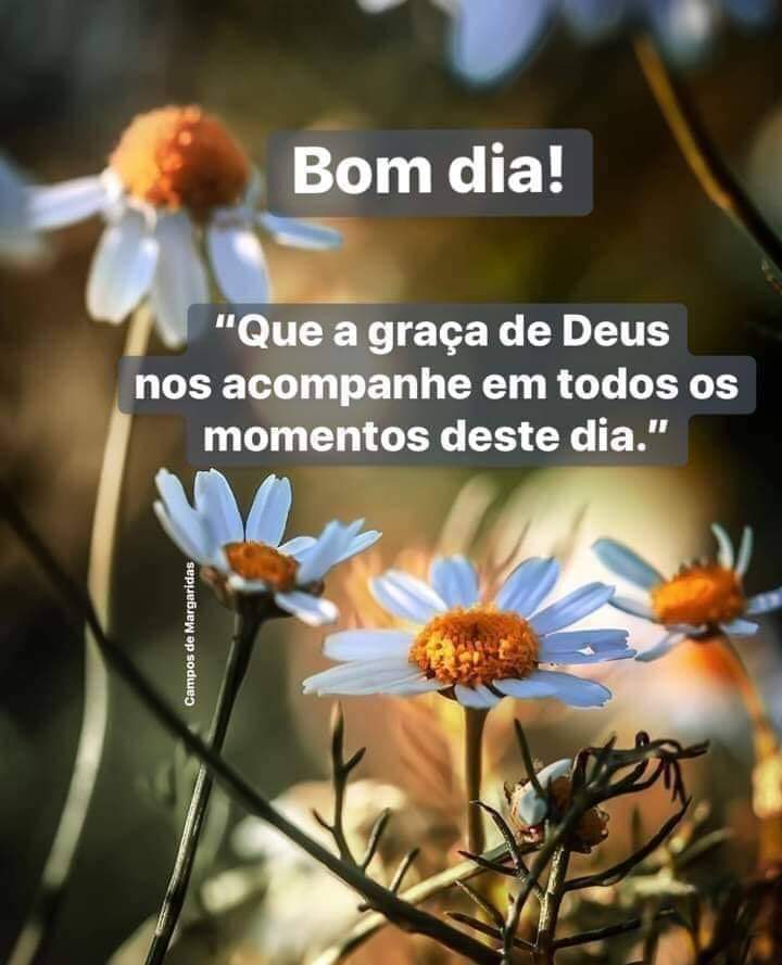 Mana Luft 🇧🇷2️⃣2️⃣🇧🇷's tweet - Mana Luft 🇧🇷2️⃣2️⃣🇧🇷's tweet -