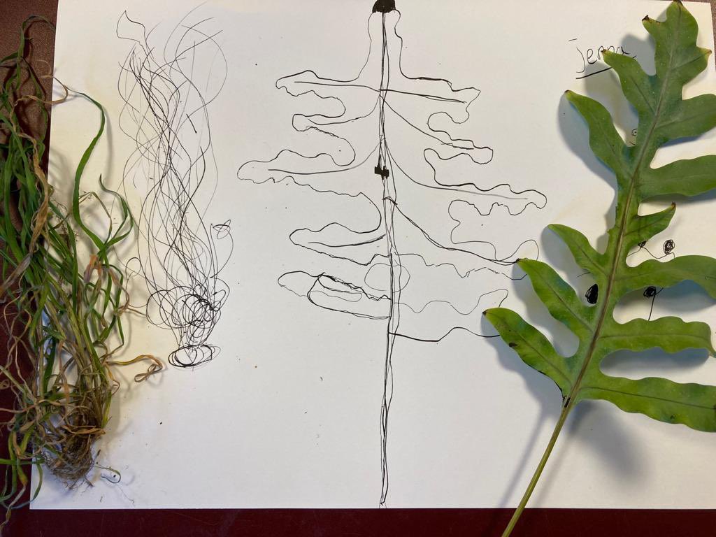 CollageAlmere's tweet image. Leerlingen van groep 5 aan de slag met natuurtekenen op @universumAsg o.l.v. @Teatralkunst #NPOgelden #Collage112 #beeldend @ASGalmere