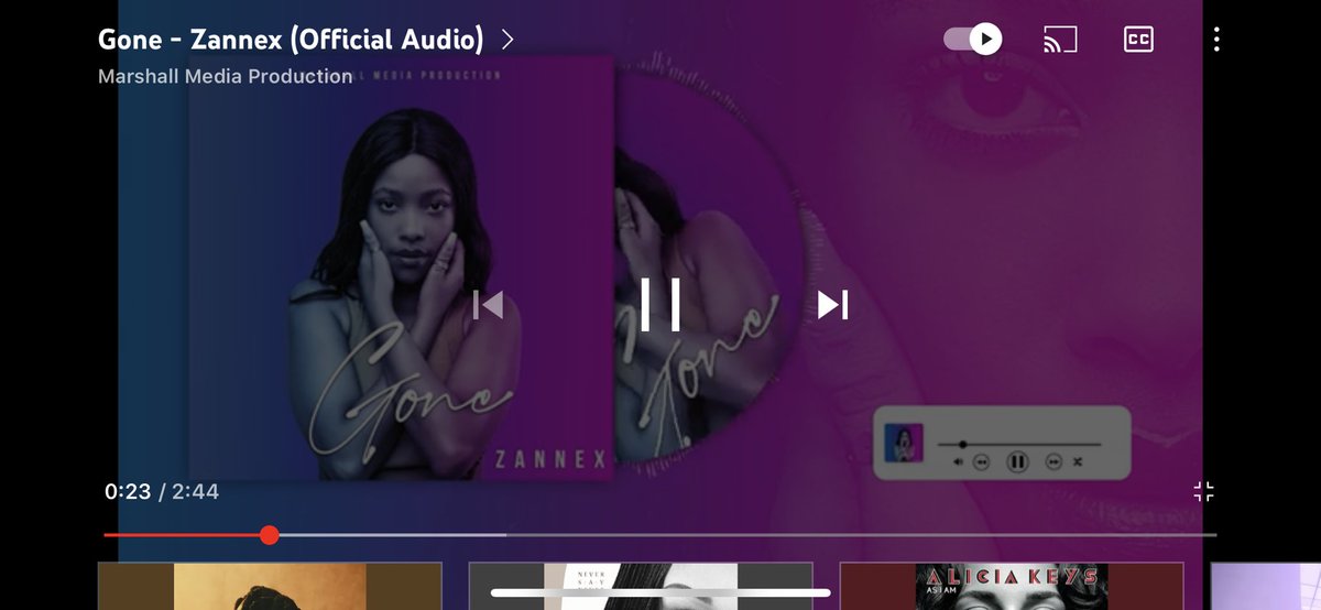 Zannex tweet media