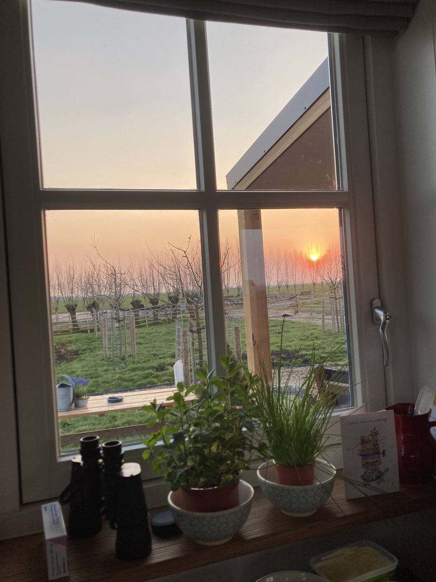 AnneMHoekstra's tweet photo. Zonsondergang, zonsopgang. En alleen de geluiden van koeien, weidevogels, ganzen en af en toe een landbouwvoertuig. #tinyhouse https://t.co/DiJUn4SLZZ