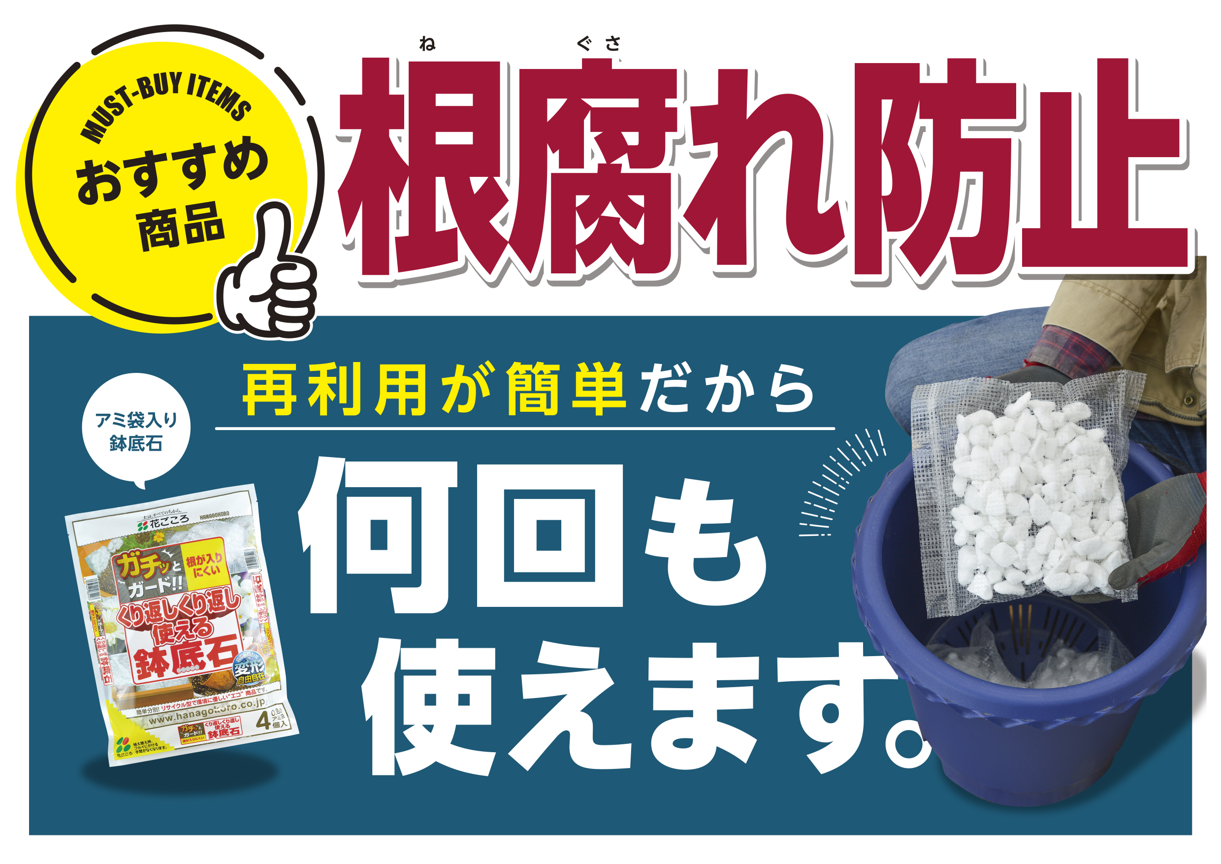 鉢底石 Twitter Search Twitter