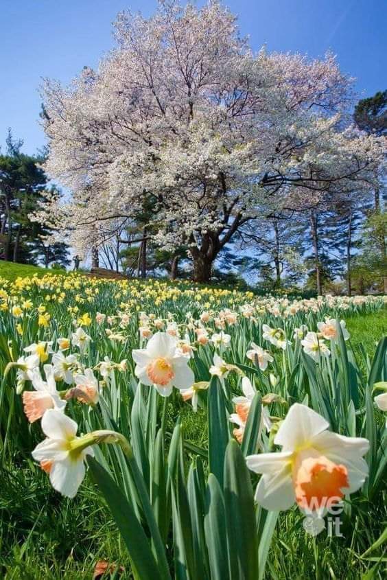 TLeoni311's tweet photo. Good morning https://t.co/Guc4jrpPnE