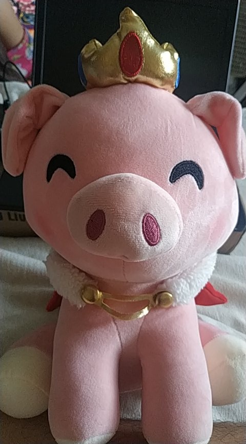 LilTriggyKiwi's tweet photo. HE HAS COME HOME #technoplush #TechnoSupport #technoblade https://t.co/hfttvuzzpA