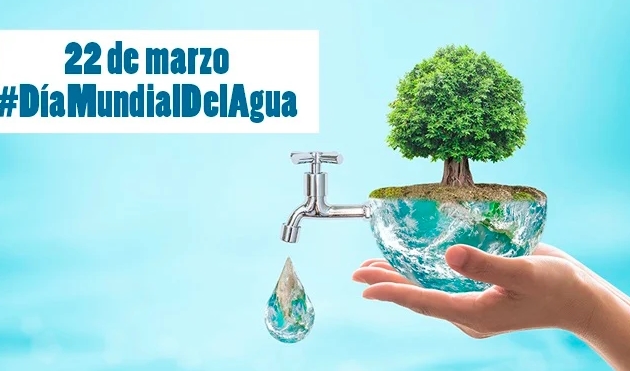 fucoin's tweet photo. 22 de Marzo Día Mundial del Agua, recurso necesario para la vida, sumamente valioso para el desarrollo humano y vegetal.
Hoy queremos visibilizar que muchas personas en el mundo que no tienen acceso al agua potable, es importante cuidarla mediante uso racional y sustentable. https://t.co/ftJ72nQi4K