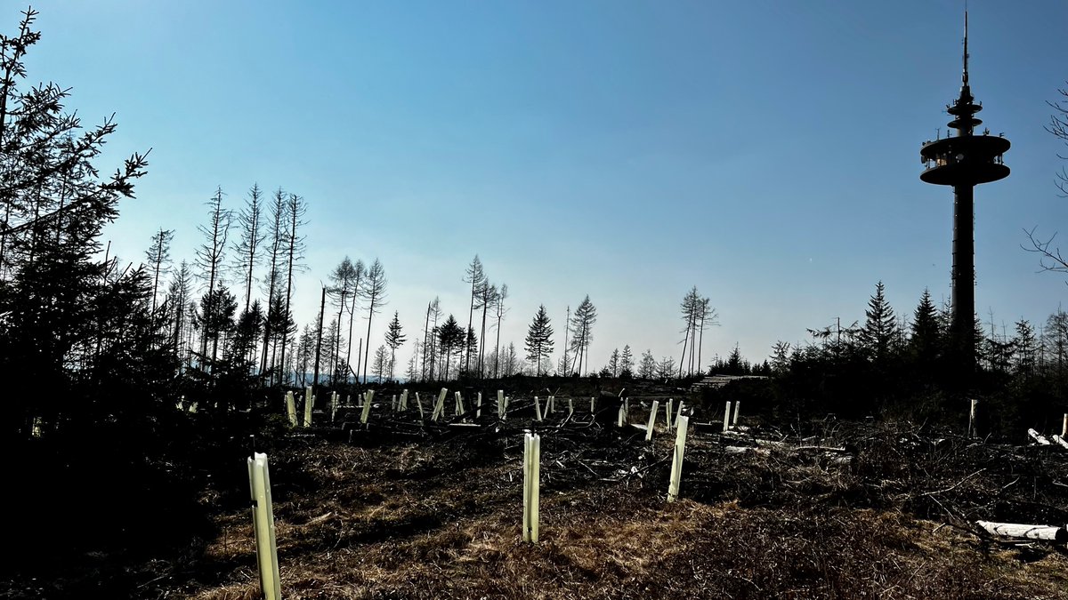 stephanfink's tweet photo. Waldschäden bei #Wiesbaden, nach #Dürre, #Borkenkäfer &amp; Co, #Orkan … der Waldverlust nimmt zu. Dennoch: wir @FinkFuchs helfen beim #Aufforsten &amp; der Doku des Baumsterbens - gestern - nach 2019, 2021 dritter Drohnen-Dreh auf der Hohen Wurzel. Mehr dazu https://t.co/TTYBdRflfc https://t.co/7F73yWJQNo