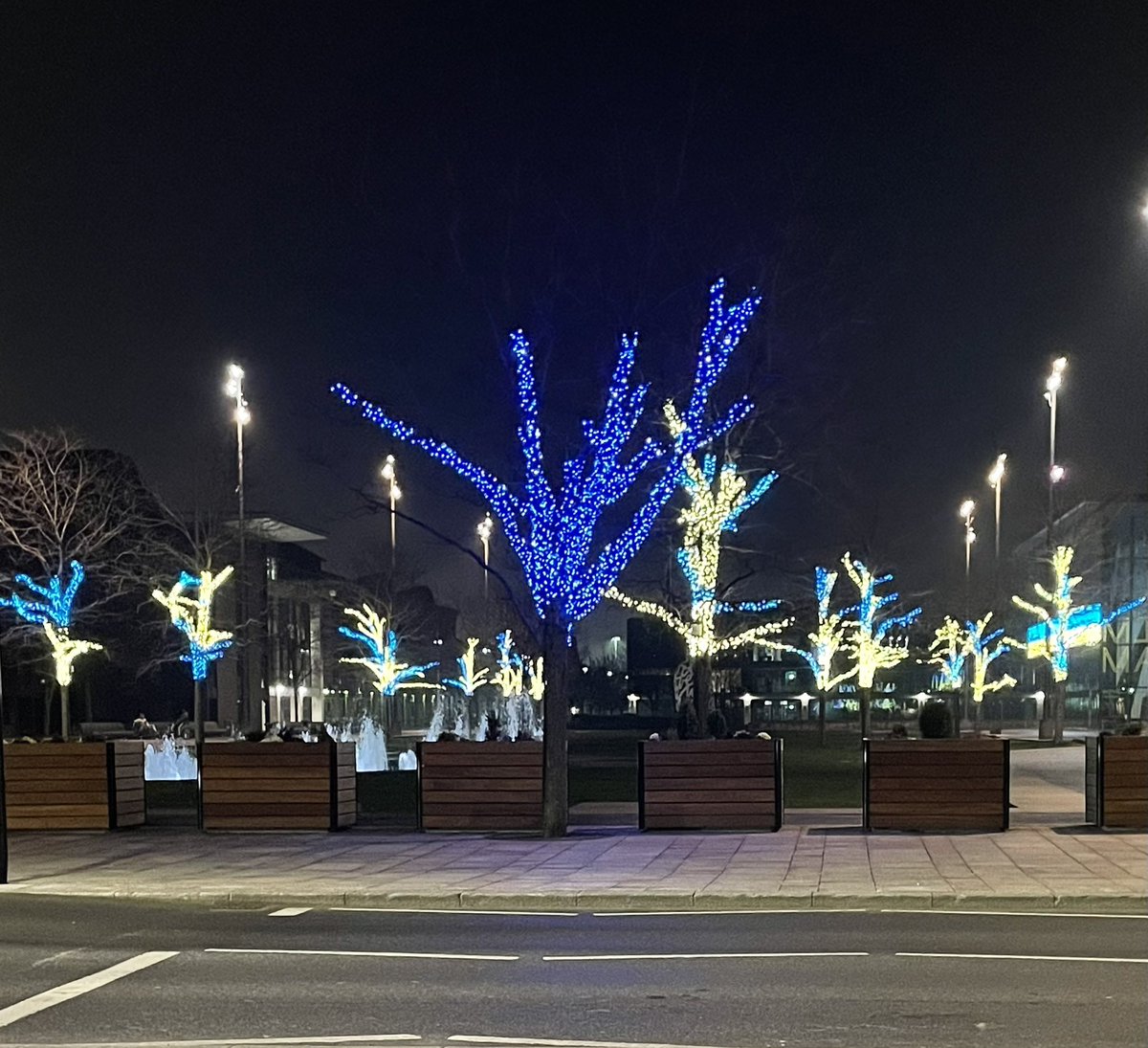 Middlesbrough looking resplendent last night 🇺🇦