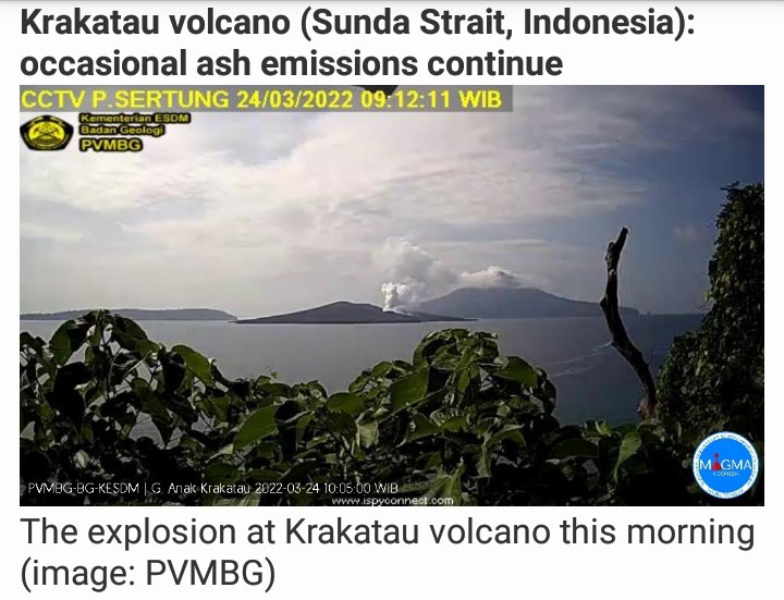 melatiputih tweet media