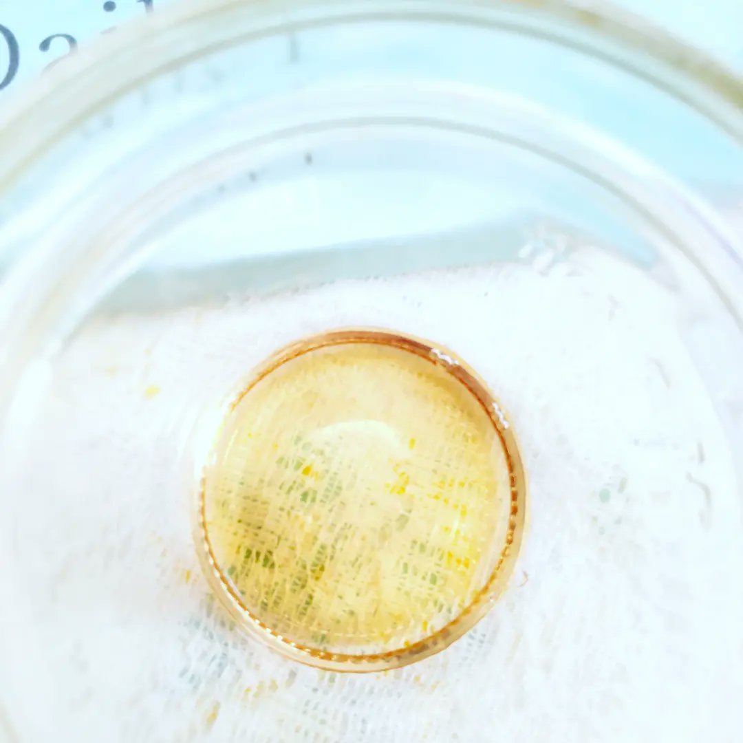 nori4940's tweet photo. 手軽に口臭予防 爽快感がある、医薬部外品マウスウォッシュです🌿
1回で使いきりサイズなので、使いやすく口の中をゆすぐと茶色の汚れが出てビックリ👀します。メンソール系のすーっとする感じは強くなくて爽快感があり、口の中がさっぱりしました🌸
#フロムココロ #Daily1 https://t.co/mF2d1j9EzY