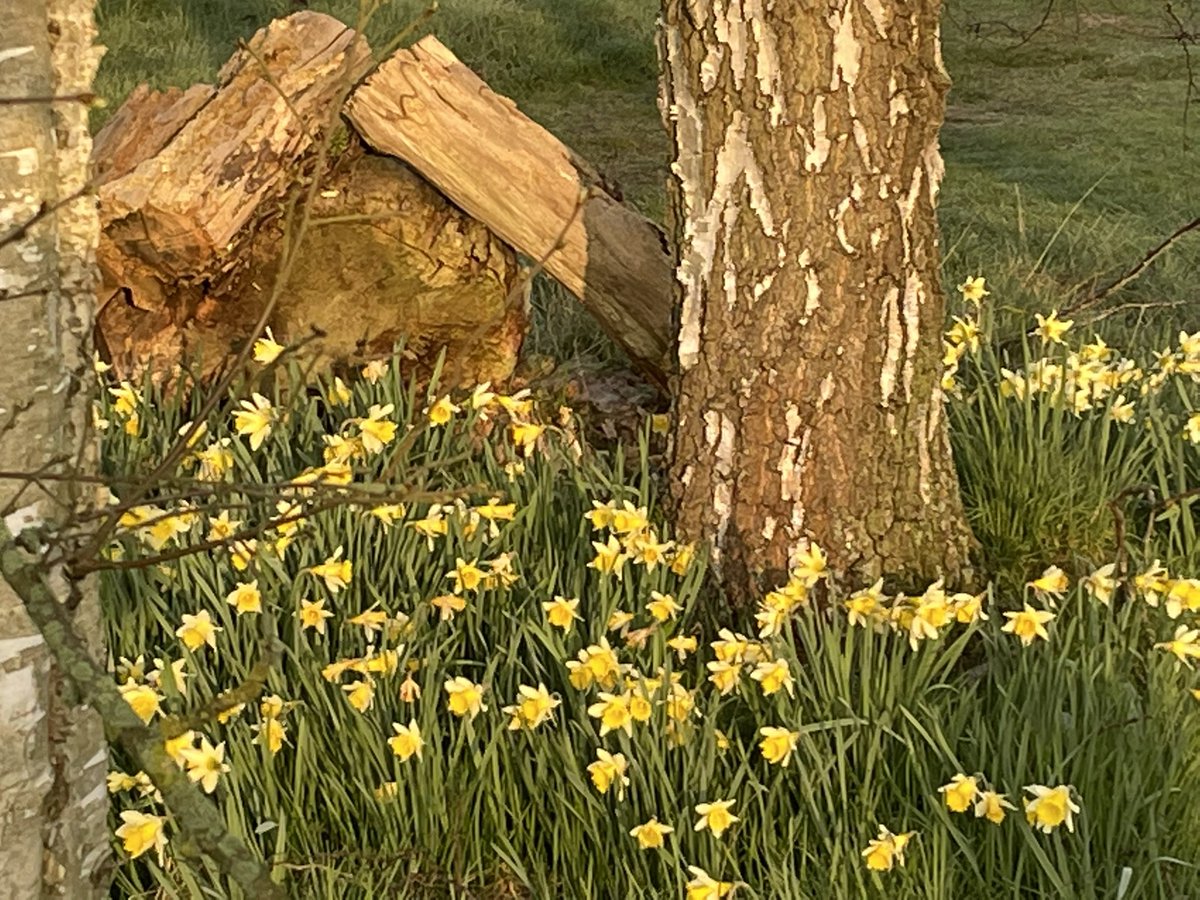 #SpringStatement2022 #Golf