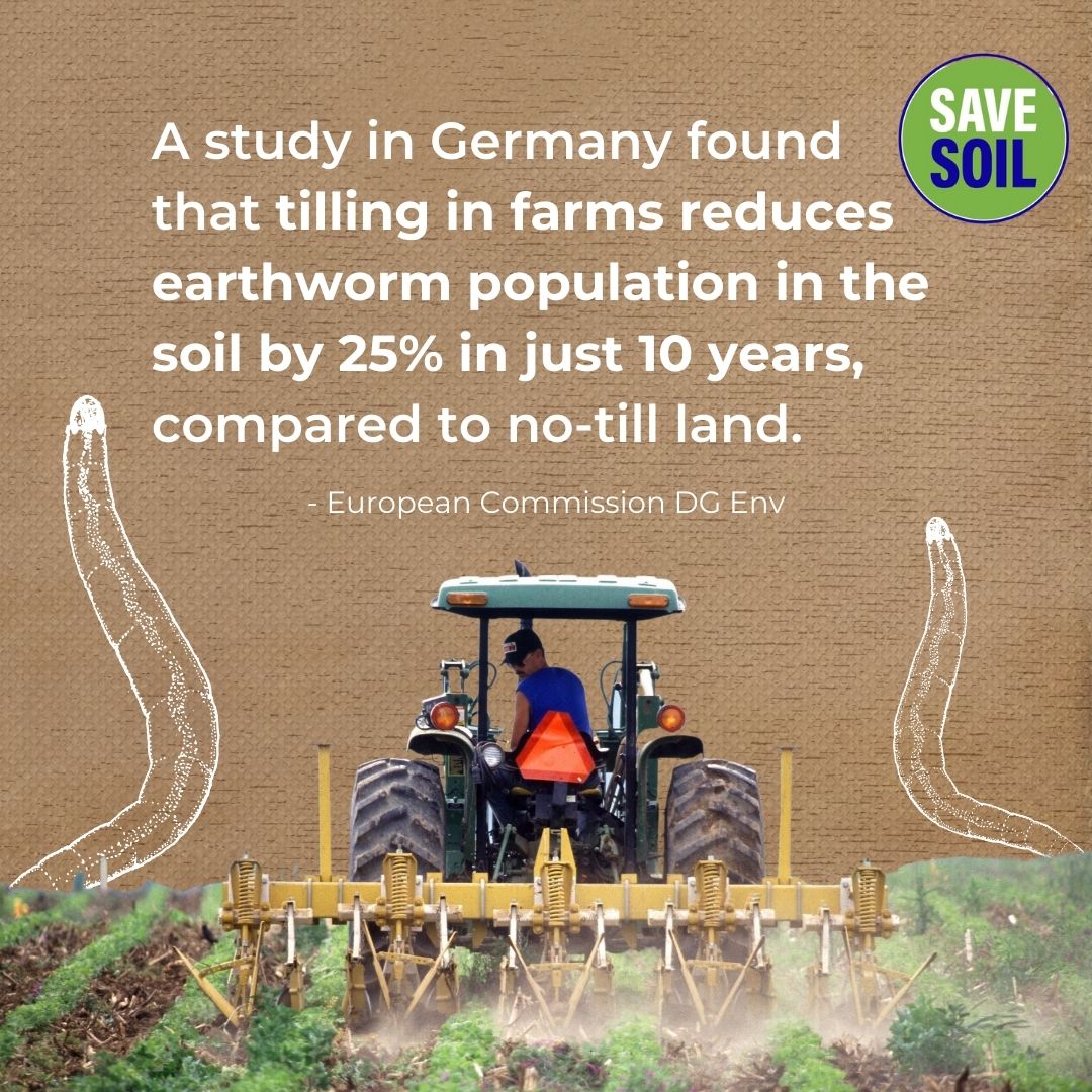 cpsavesoil's tweet photo. Earthworms are an indispensable part of the soil ecosystem. Without them, the soil loses vitality &amp; crops have fewer nutrients. Save earthworms to save soil.
Follow the Movement &amp; Spread the Message using #SaveSoil 
Action Now: https://t.co/z6MmqMf5nE #ConsciousPlanet @SadhguruJV https://t.co/PQBSMBh2Nr