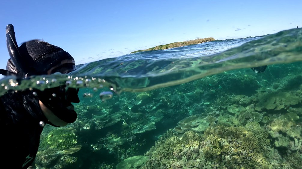 I know - not supposed to have favorites but I❤️the reef around Lady Musgrave Island. It's just spectacular. Lovely to also see healthy and unbleached reefs on our month-long search for heat tolerant corals on the #GBR. Lets unite in doing all we can to keep the Reef great!