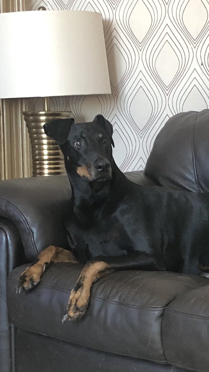 Killercoyne75 tweet media