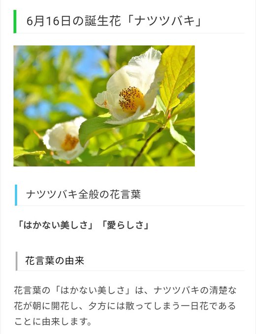 花言葉のtwitterイラスト検索結果