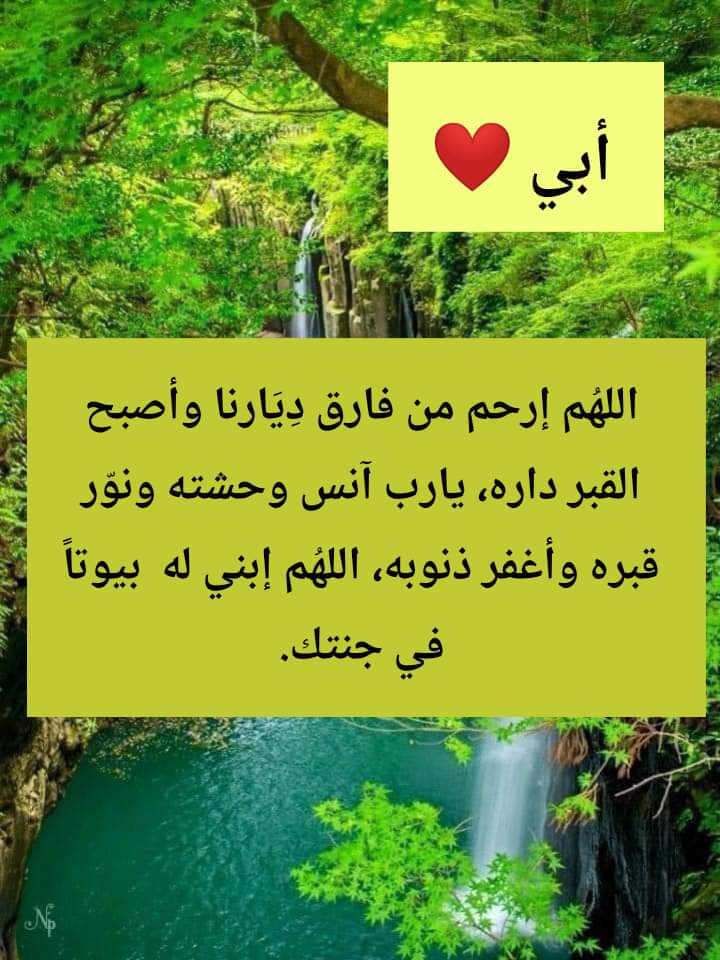 👑 الملكه 👑 الأم 🦋 SA 👑 Ly 🦋 tweet media