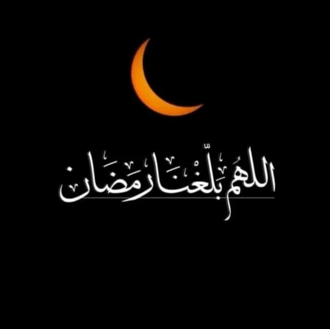 Ahmed.m.Aboraya (@ahmedmaboraya2) on Twitter photo 
