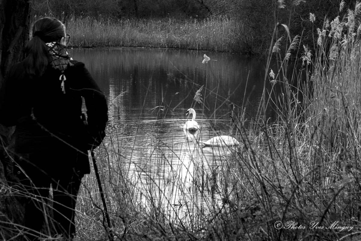 photos_yves's tweet photo. Etangs du parc de l'Horloge terril 107 Carvin.
Canon EOS 77D Monochrome #photosyves #blackandwhitephotography #streetphotography #carvin #terrils #cygnes #etangs https://t.co/2KxypoJzkI